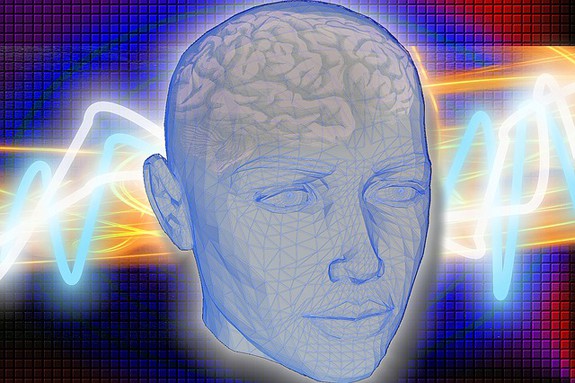 A digitized image of a person's head. 